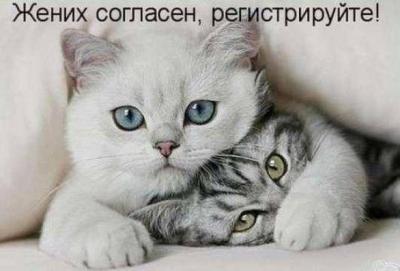 Прикрепленное изображение: 12540953_1667829006822601_3770711368441927707_n.jpg